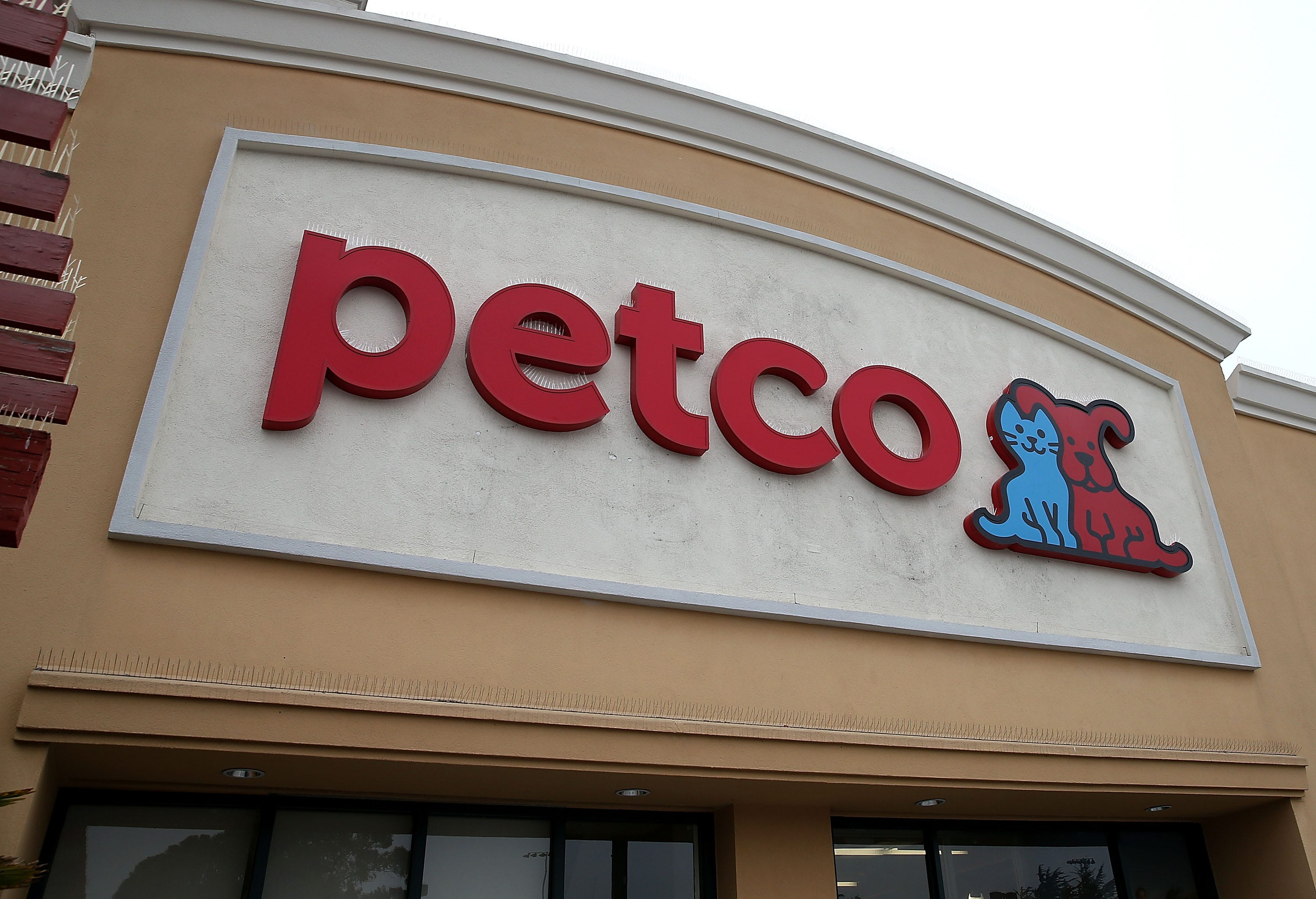petco store near me now